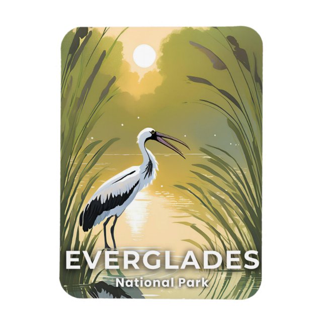 Everglades National Park | Akvarellstork Magnet (Vertikal)