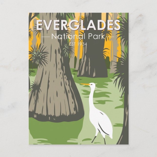 Everglades National Park Florida Egret Vintage (Sv Vykort (Framsida)