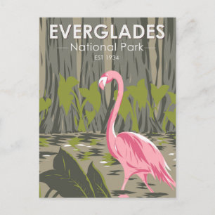 Everglades National Park Florida Flamingo Vintage Vykort
