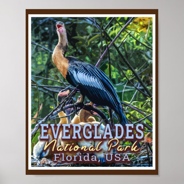 EVERGLADES NATIONAL PARK - FLORIDA FÖRENADE STATER POSTER (Framsidan)