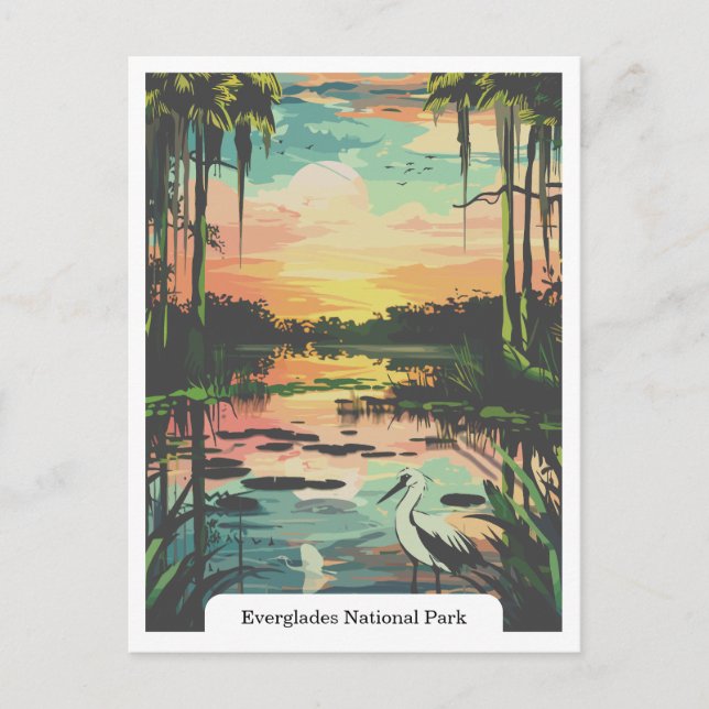 Everglades National Park, Florida USA Vykort (Framsida)