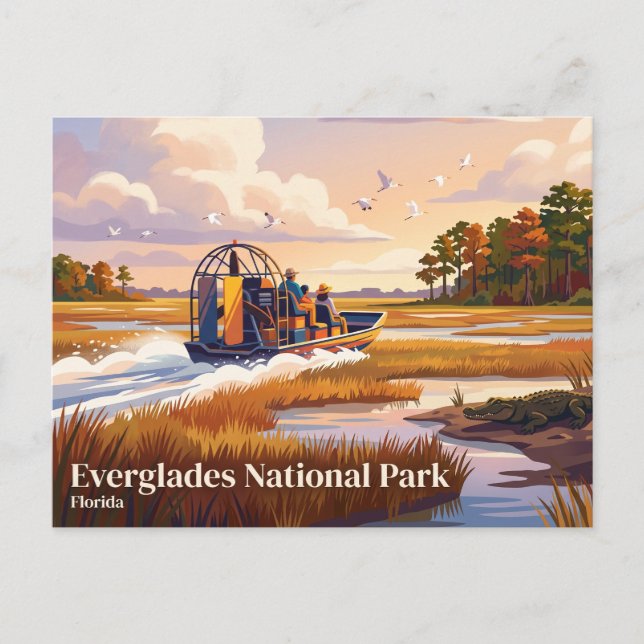 Everglades National Park Florida Vykort (Framsida)