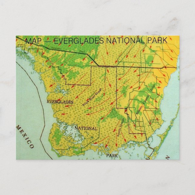 Everglades National Park Kartor Postkort Vykort (Framsida)
