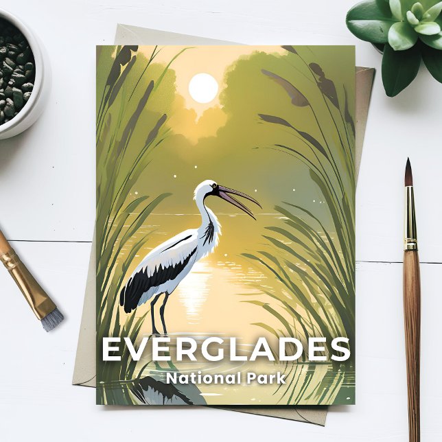 Everglades National Park | Stork i akvarell Vykort (Skapare uppladdad)
