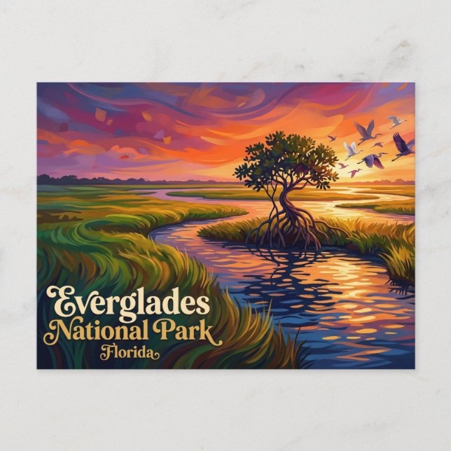 Everglades National Park USA Vykort (Framsida)