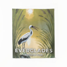 Everglades National Park | Vattenfärg Stork