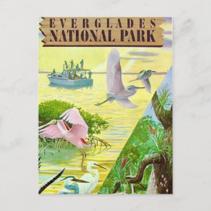 Everglades National Park vykort