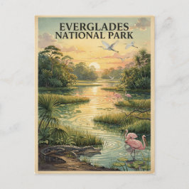 Everglades National Park Wildlife Akvarell Vykort