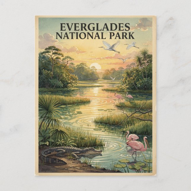 Everglades National Park Wildlife Akvarell Vykort (Framsida)