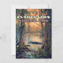 Everglades nationalpark Alligator Florida Card