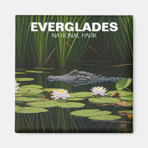 Everglades nationalpark Alligator i Vatten Magnet