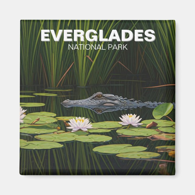 Everglades nationalpark Alligator i Vatten Magnet (Framsidan)
