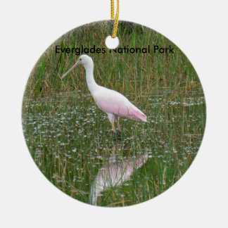 Everglades nationalpark Ceramic Ornament