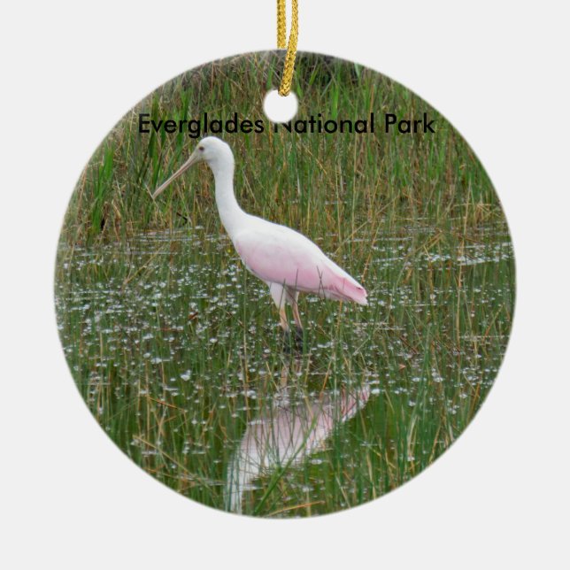 Everglades nationalpark Ceramic Ornament (Framsidan)