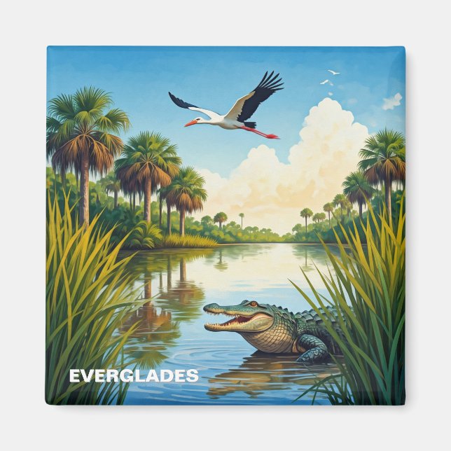 Everglades nationalpark Florida Alligator Heron Magnet (Framsidan)