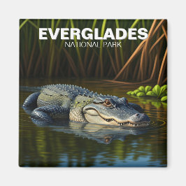 Everglades nationalpark Florida Alligator Travel Magnet