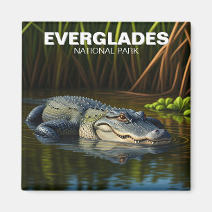 Everglades nationalpark Florida Alligator Travel Magnet