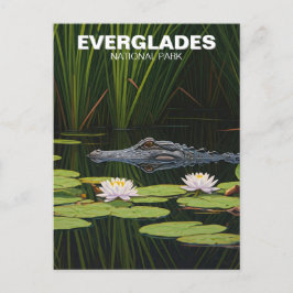 Everglades nationalpark Florida Alligator Travel Vykort