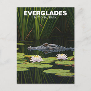 Everglades nationalpark Florida Alligator Travel Vykort