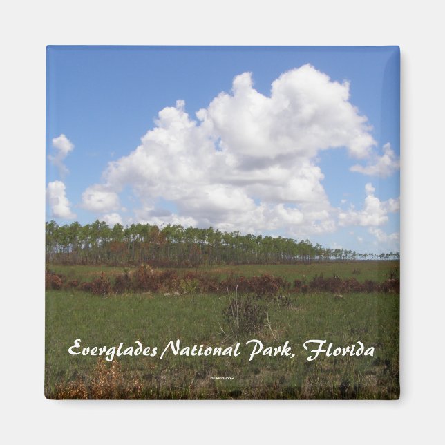 Everglades nationalpark, Florida Magnet (Framsidan)