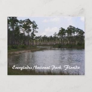 Everglades nationalpark, Florida Vykort