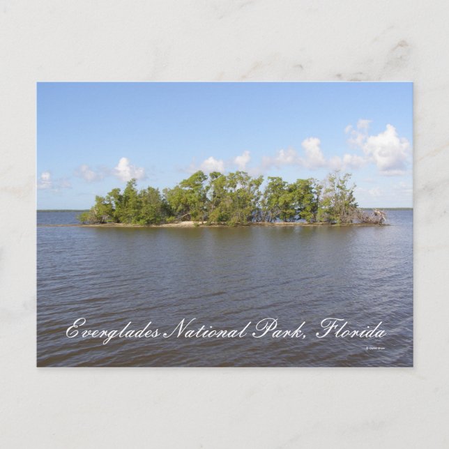 Everglades nationalpark, Florida Vykort (Framsida)