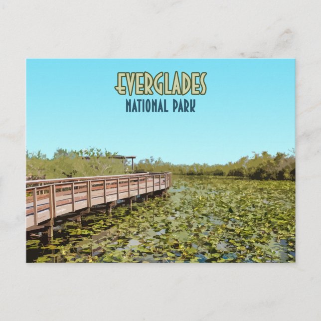 Everglades nationalpark Florida Vykort (Framsida)
