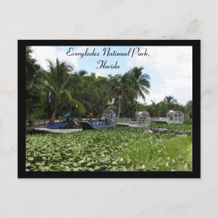 Everglades nationalpark, Florida Vykort