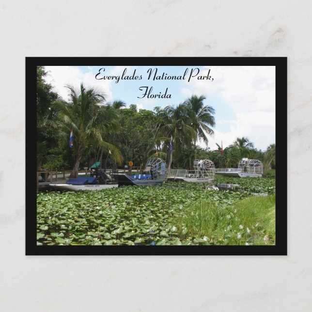 Everglades nationalpark, Florida Vykort (Framsida)