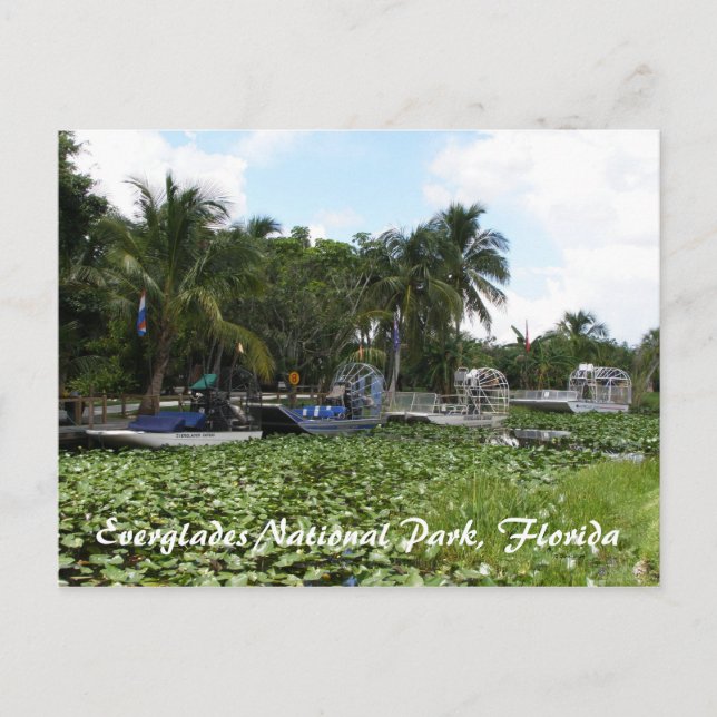 Everglades nationalpark, Florida Vykort (Framsida)