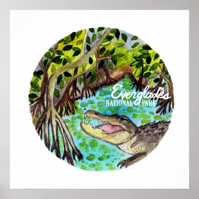 Everglades nationalpark Florida Watercolor Poster (Framsidan)