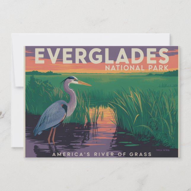 Everglades nationalpark julkort (Framsida)