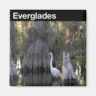 Everglades nationalpark magnet