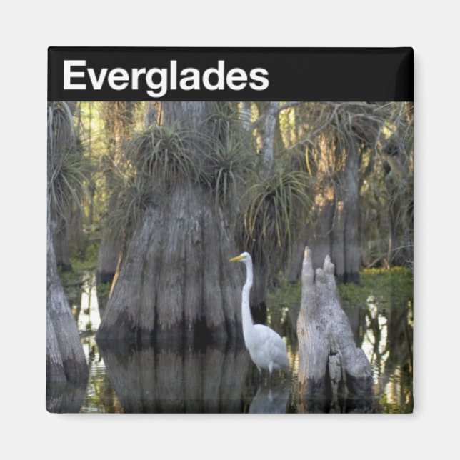 Everglades nationalpark magnet (Framsidan)