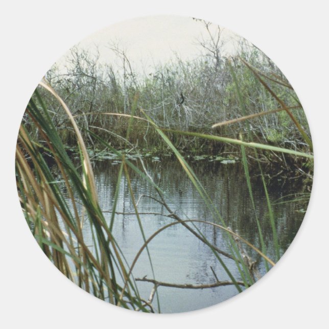 Everglades nationalpark runt klistermärke (Framsida)