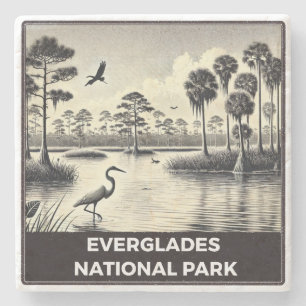 Everglades nationalpark stenunderlägg