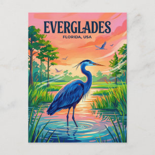 Everglades nationalpark USA Vykort