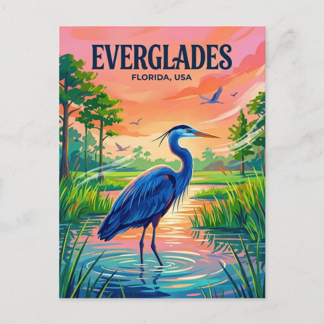 Everglades nationalpark USA Vykort (Framsida)