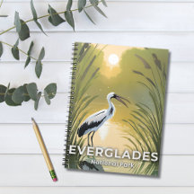 Everglades nationalpark | Vattenfärgsstork