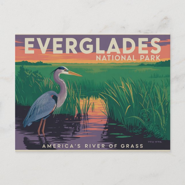 Everglades nationalpark vykort (Framsida)
