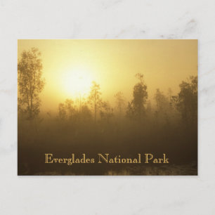 Everglades nationalpark vykort