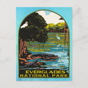 Everglades Nationalpark Vykort
