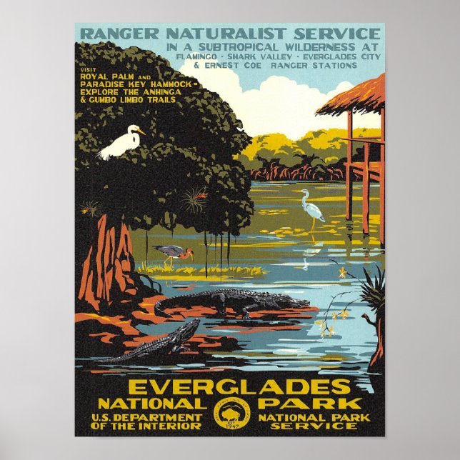 Everglades Poster (Framsidan)