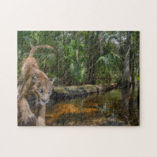 Everglades Puma Pussel