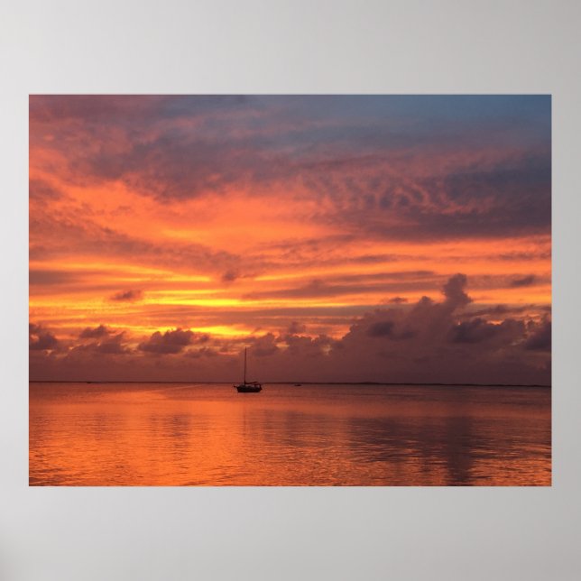 Everglades Sunset Poster (Framsidan)