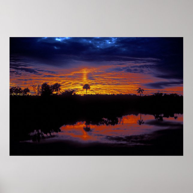 Everglades Sunset Poster (Framsidan)