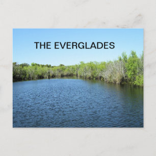EVERGLADES VATTEN VYKORT