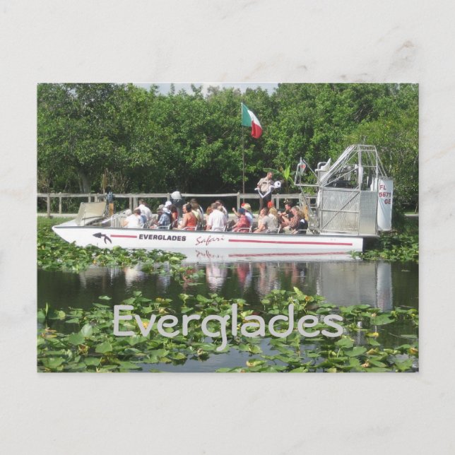 Everglades Vykort (Framsida)