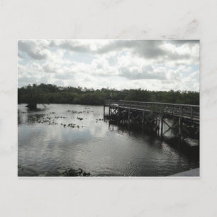 Everglades vykort