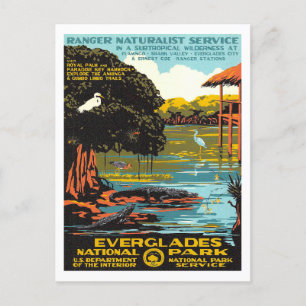 Everglades Vykort